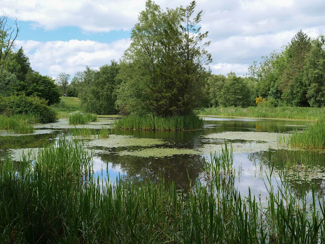 Reviews of Springburn Park in Glasgow - Parking garage