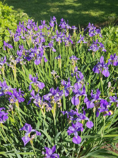 Golf Club «Springfield Golf & Country Club», reviews and photos, 8301 Old Keene Mill Rd, Springfield, VA 22152, USA