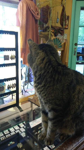 Art Gallery «Saugatuck Gallery», reviews and photos, 317 Butler St, Saugatuck, MI 49453, USA