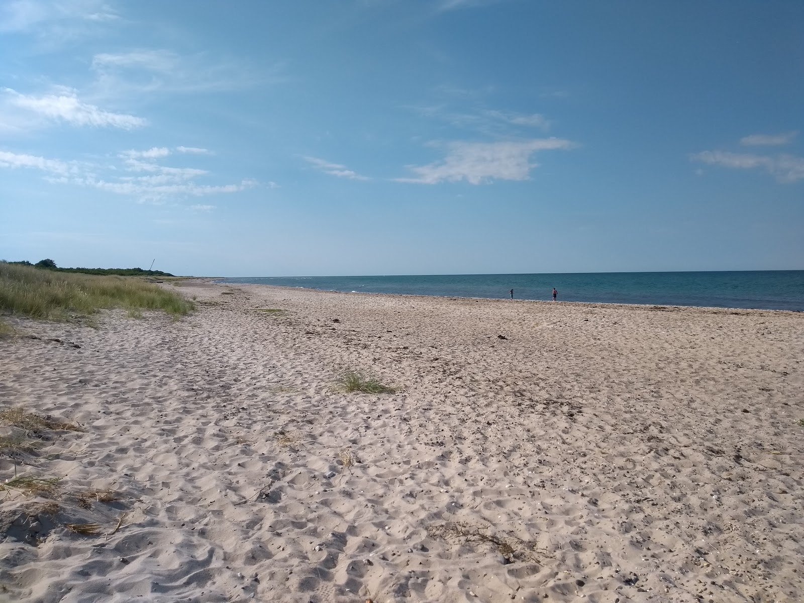 Gjerrild Nord Beach的照片 带有明亮的沙子表面