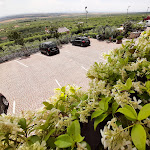 Photo n°5 de l'avis de Vincenzo. fait le 28/05/2023 à 16:39 sur le  Braceria Pizzeria novecento à San Giovanni Rotondo