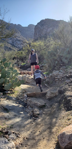 Tourist Attraction «Linda Vista Trail», reviews and photos, 730 E Linda Vista Rd, Oro Valley, AZ 85737, USA