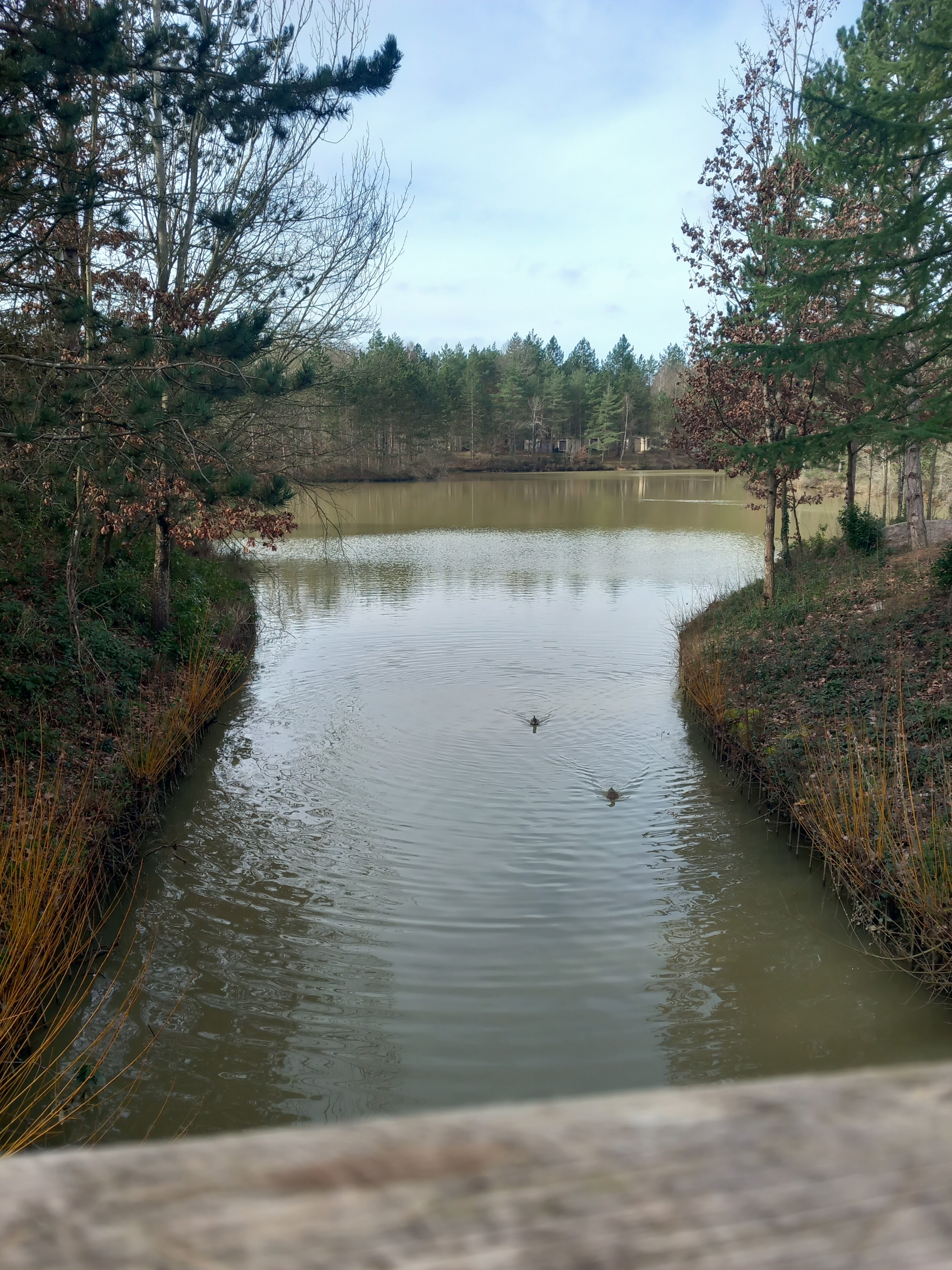 Photo n° 5 de l'avis de Marie.a fait le 24/02/2024 à 11:52