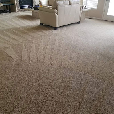 Premium Carpet Care and Water Remediation