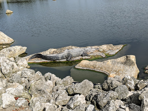 Golf Course «Buffalo Creek Golf Course», reviews and photos, 8100 69th St E, Palmetto, FL 34221, USA