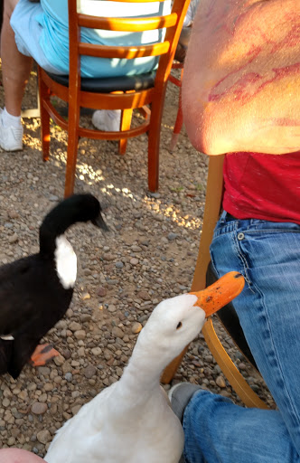 Winery «Hartford Hill Winery», reviews and photos, 3864 Bushnell Campbell Rd, Fowler, OH 44418, USA