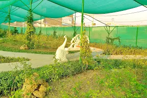 Butterfly Park BOR Johar Town image