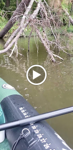 Tourist Attraction «South Shore Park», reviews and photos, 4555 Ragsdale Rd, Acworth, GA 30101, USA