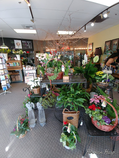 Florist «Lund Buds & Blooms», reviews and photos, 7701 S Hosmer St Suite C, Tacoma, WA 98408, USA