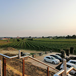 Photo n°7 de l'avis de Simone.o fait le 05/06/2021 à 14:13 sur le  Agriturismo Wine&Beer Alturis à Cividale del Friuli