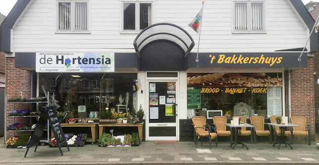 de Hortensia - Bloemist