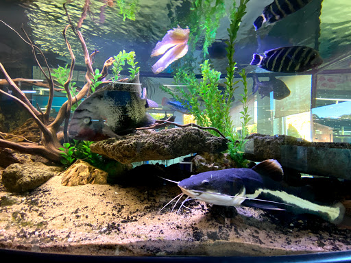 Pet Store «Aqua World Pet Super Center», reviews and photos, 8143 Ohio River Blvd, Pittsburgh, PA 15202, USA