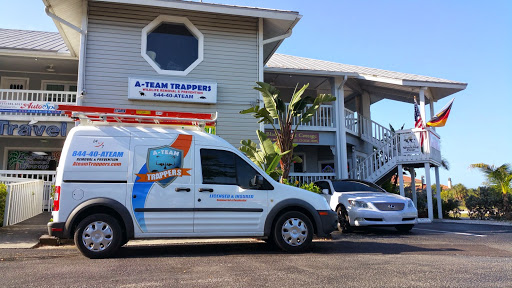 Animal Control Service «A-Team Trappers», reviews and photos