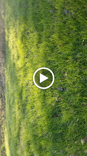 Park «Clarence Foster Park», reviews and photos, 4400 Woodland Park Blvd, Arlington, TX 76013, USA