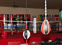 Best Martial Arts Gyms In Detroit Near You
