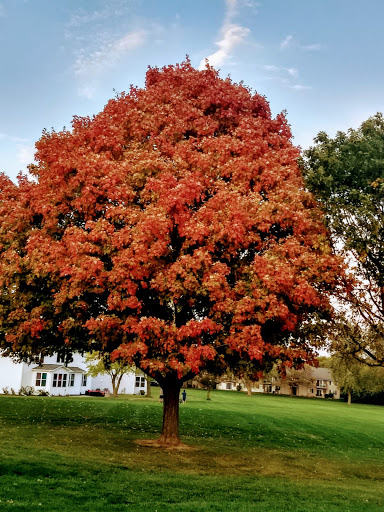 Municipality «Country Lakes Park», reviews and photos, 1835 N Aurora Rd, Naperville, IL 60563, USA