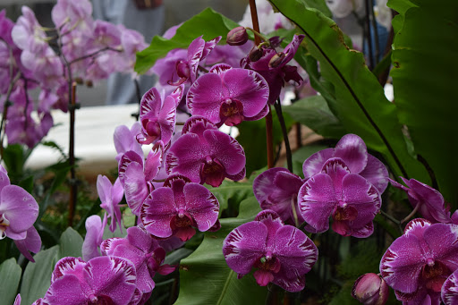 Park «Lafayette Square», reviews and photos, Pennsylvania Ave NW & 16th Street Northwest, Washington, DC 20001, USA