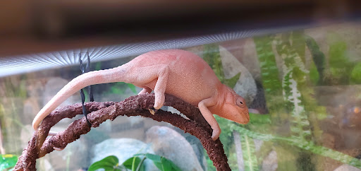 Pet Supply Store «Petco Animal Supplies», reviews and photos, 450 N Rte 17, Paramus, NJ 07652, USA