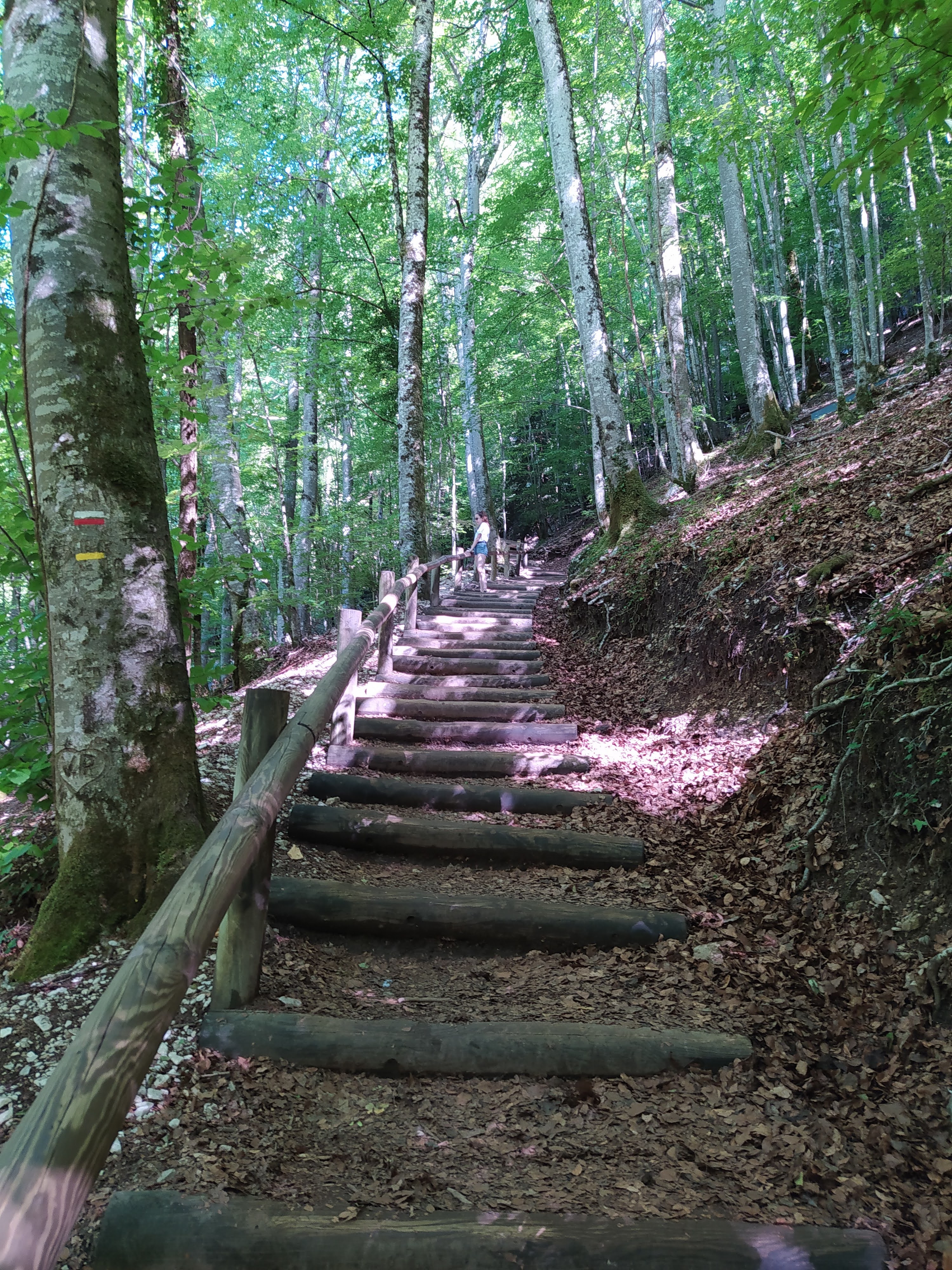 Photo n° 2 de l'avis de Dilou. fait le 24/06/2020 à 18:26