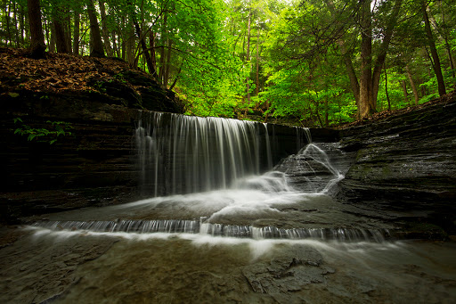 Nature Preserve «Sweedler and Thayer Preserves», reviews and photos, 10 Townline Rd, Ithaca, NY 14850, USA