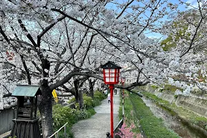 Ohorigawa Hananomichi Park image