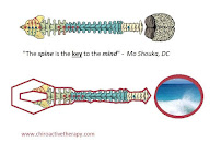 ChiroActive Therapy - Tustin Chiropractor Mo Shouka, DC, QME - Photo 8 - Car repair in Tustin, CA, Mission Viejo