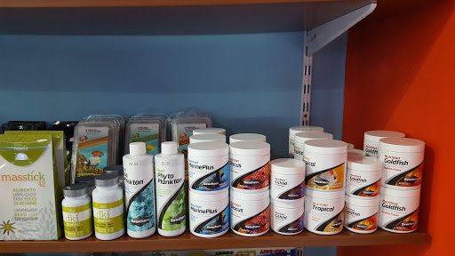 MartinTropic - O Carballiño