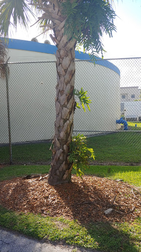 Park «Coral Gate Park», reviews and photos, Coral Lake Dr, Margate, FL 33063, USA