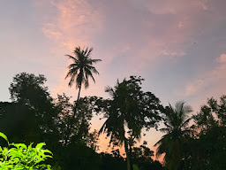 ไปสวน paisuan slowbarcafe