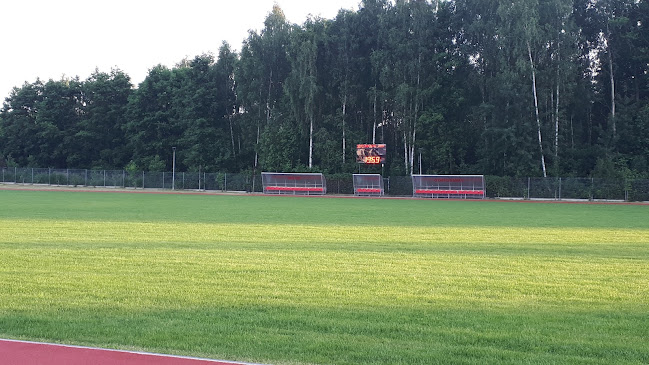 Stadion Wrzos Międzyborów