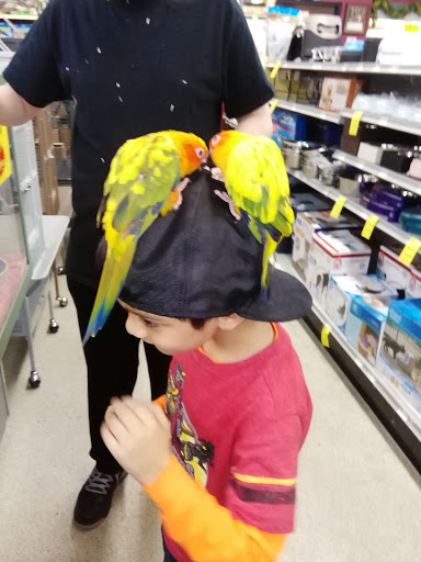 Pet Store «Petland Montgomery», reviews and photos, 7127 Eastchase Pkwy, Montgomery, AL 36117, USA