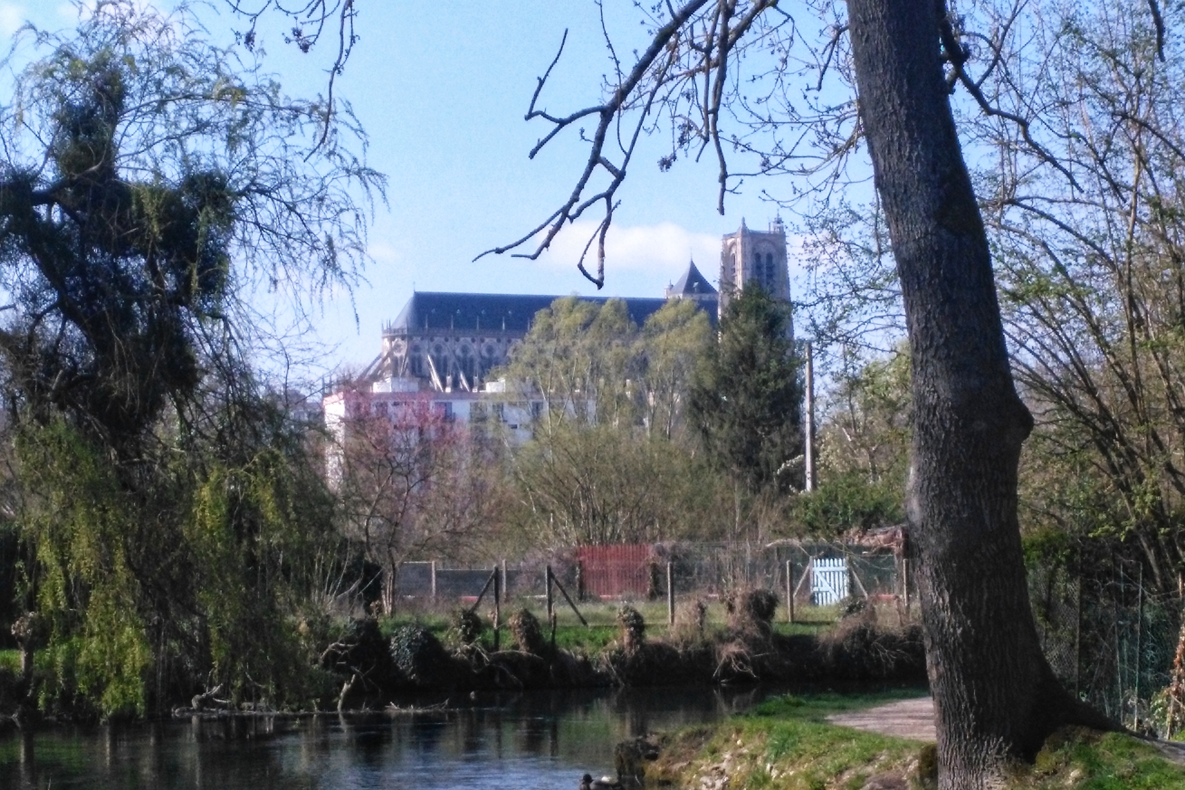 Photo n° 1 de l'avis de jean-marc.e fait le 27/03/2019 à 17:54