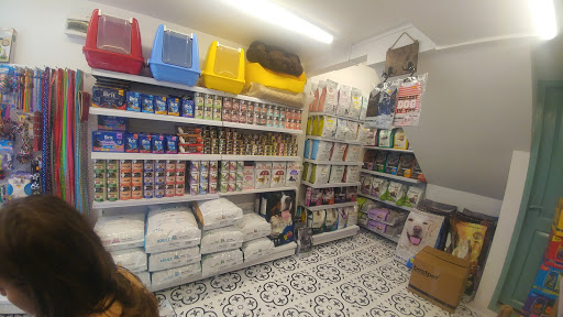 Troy Boutique Pet Shop | Beşiktaş İstanbul - Evcil Hayvan Malzemeleri Mağazası