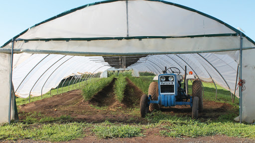 Produce Market «Blue Moon Acres», reviews and photos, 11 Willow Creek Dr, Pennington, NJ 08534, USA