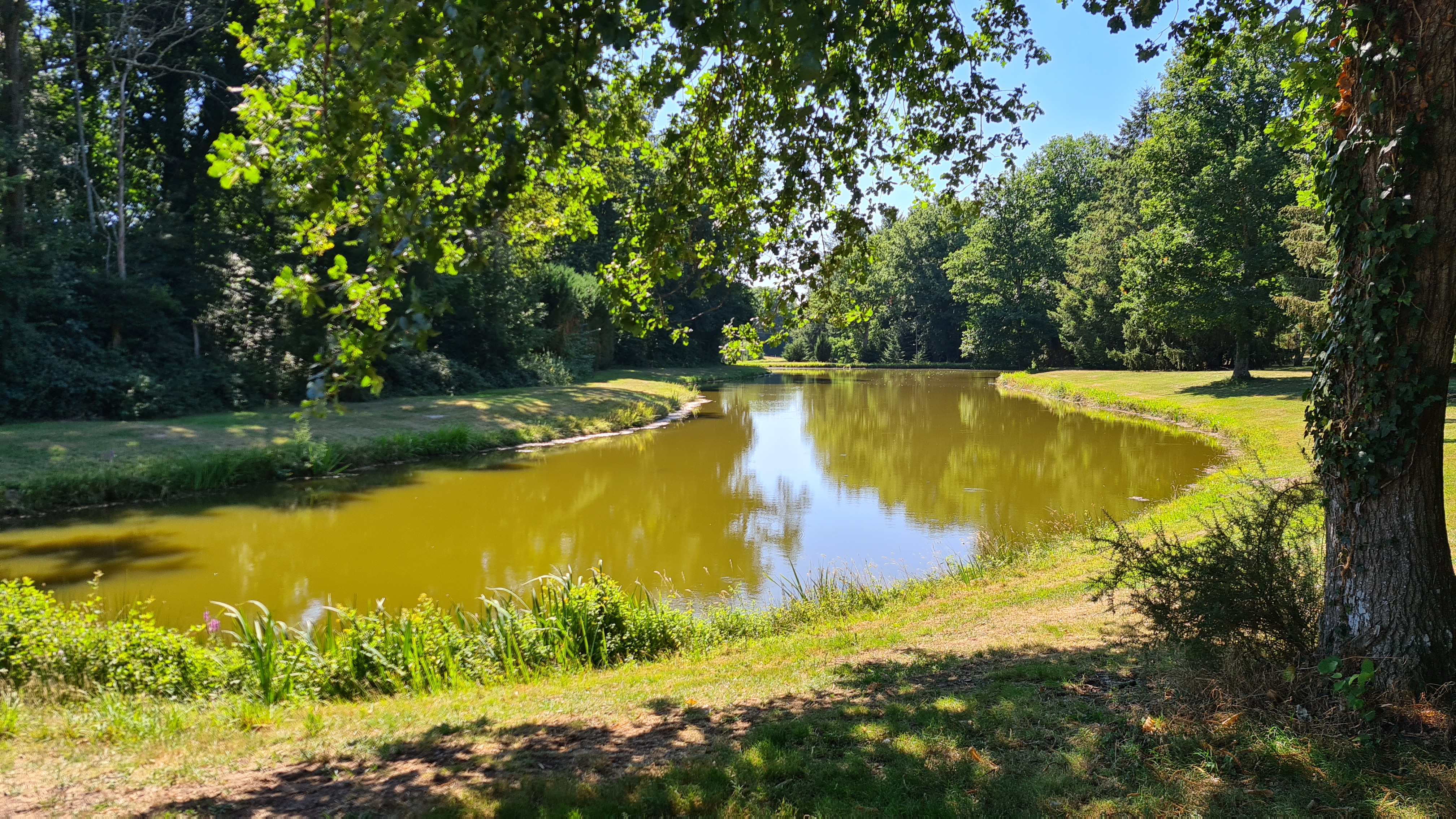 Photo n° 2 de l'avis de laurent.a fait le 17/07/2022 à 19:09