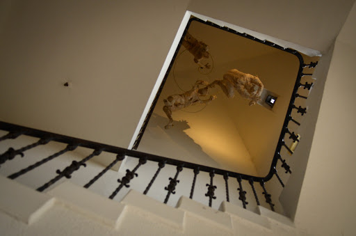 Dance School «Planet Dance Cincinnati», reviews and photos, 2230 Gilbert Ave, Cincinnati, OH 45206, USA