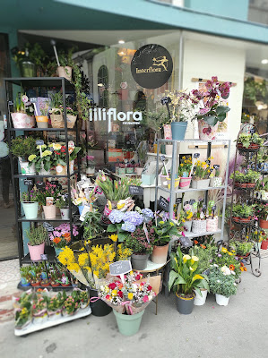 Lili Flora à Lyon