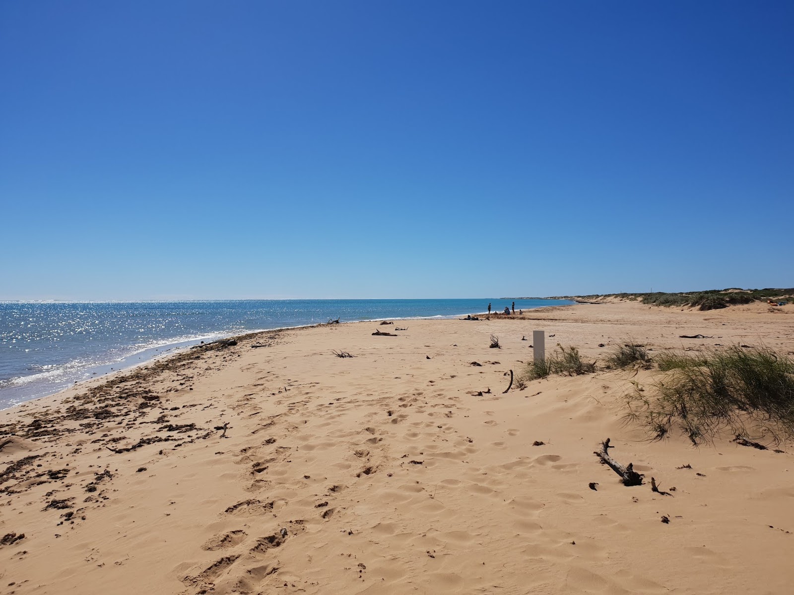 Tulki Beach'in fotoğrafı - rahatlamayı sevenler arasında popüler bir yer