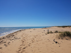 Foto af Tulki Beach beliggende i naturområde