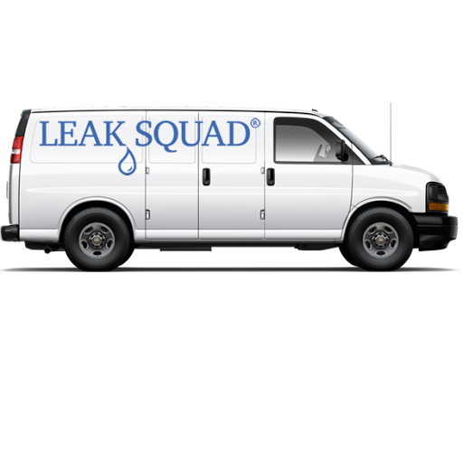 Leak Squad