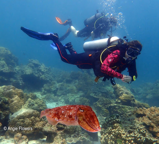 Phuket Dive Tours