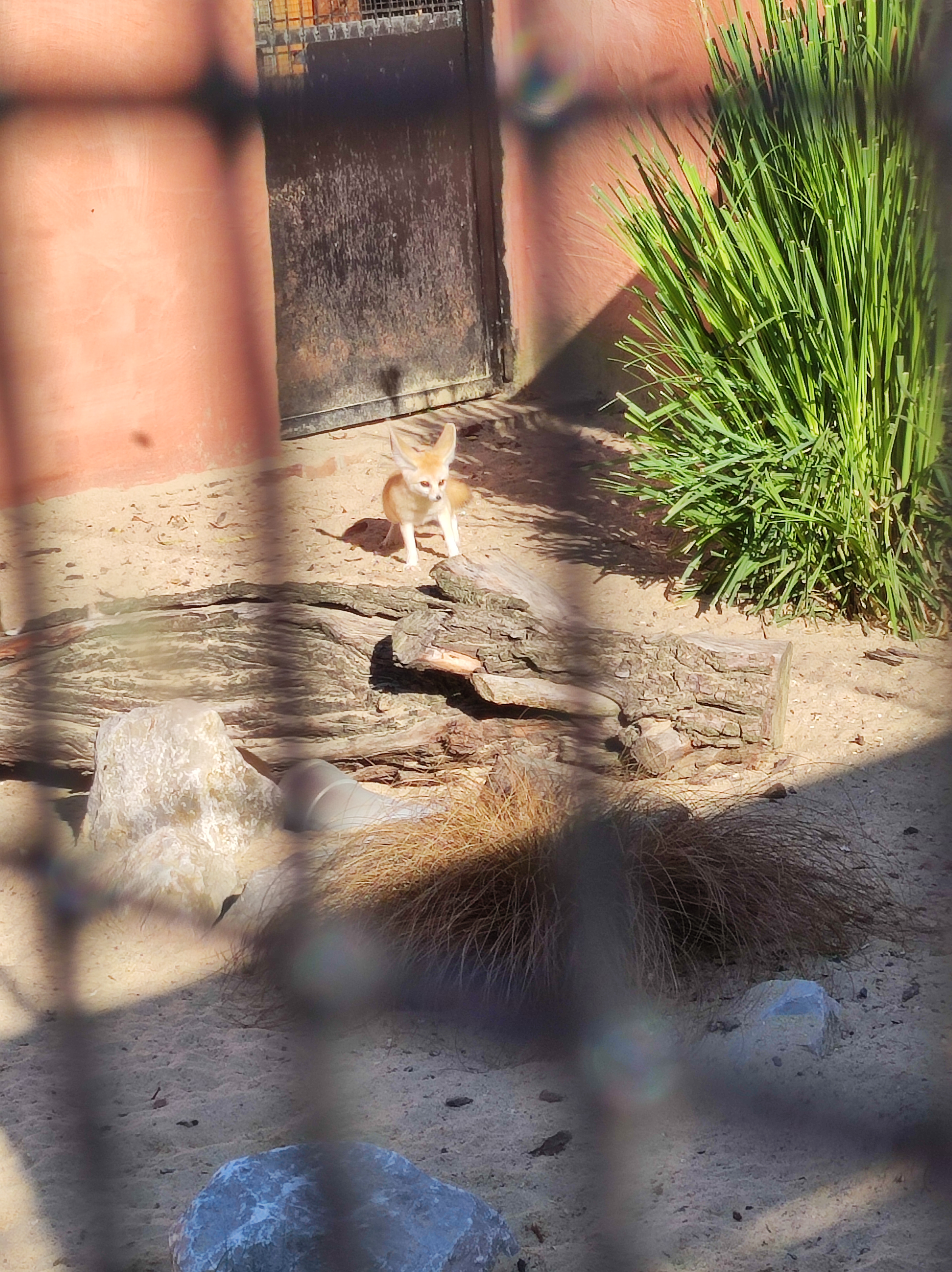 Photo n° 3 de l'avis de Barcelonesa974. fait le 18/01/2024 à 06:36