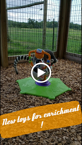 Zoo «Trowbridge Creek Zoo», reviews and photos, 50622 Co Rd 17, Vergas, MN 56587, USA