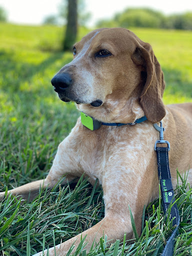 Boat Ramp «Bladensburg Waterfront Park», reviews and photos, 4601 Annapolis Rd, Bladensburg, MD 20710, USA