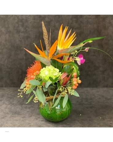 Florist «Mount Olivet Flower Shop», reviews and photos, 2301 N Sylvania Ave, Fort Worth, TX 76111, USA