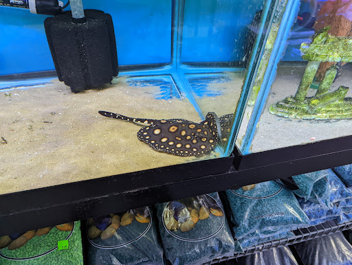 Pet Store «World of Wet Pets», reviews and photos, 8542 SW Apple Way, Portland, OR 97225, USA