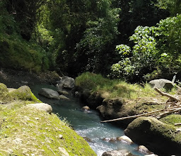 Puncak Garden Park photo