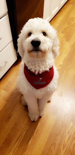 Larned Veterinary Clinic, PA