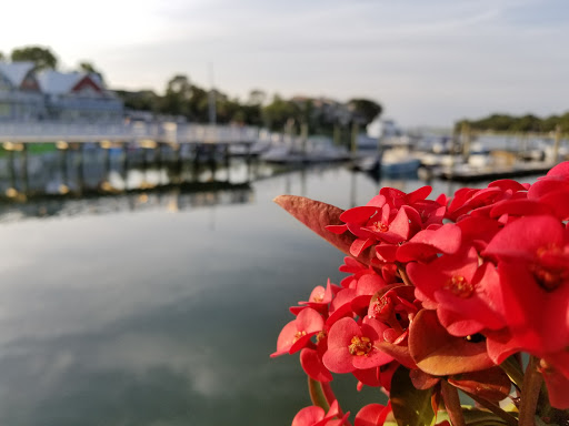 Ice Cream Shop «Salty Dog Ice Cream Factory», reviews and photos, 232 S Sea Pines Dr #304, Hilton Head Island, SC 29928, USA