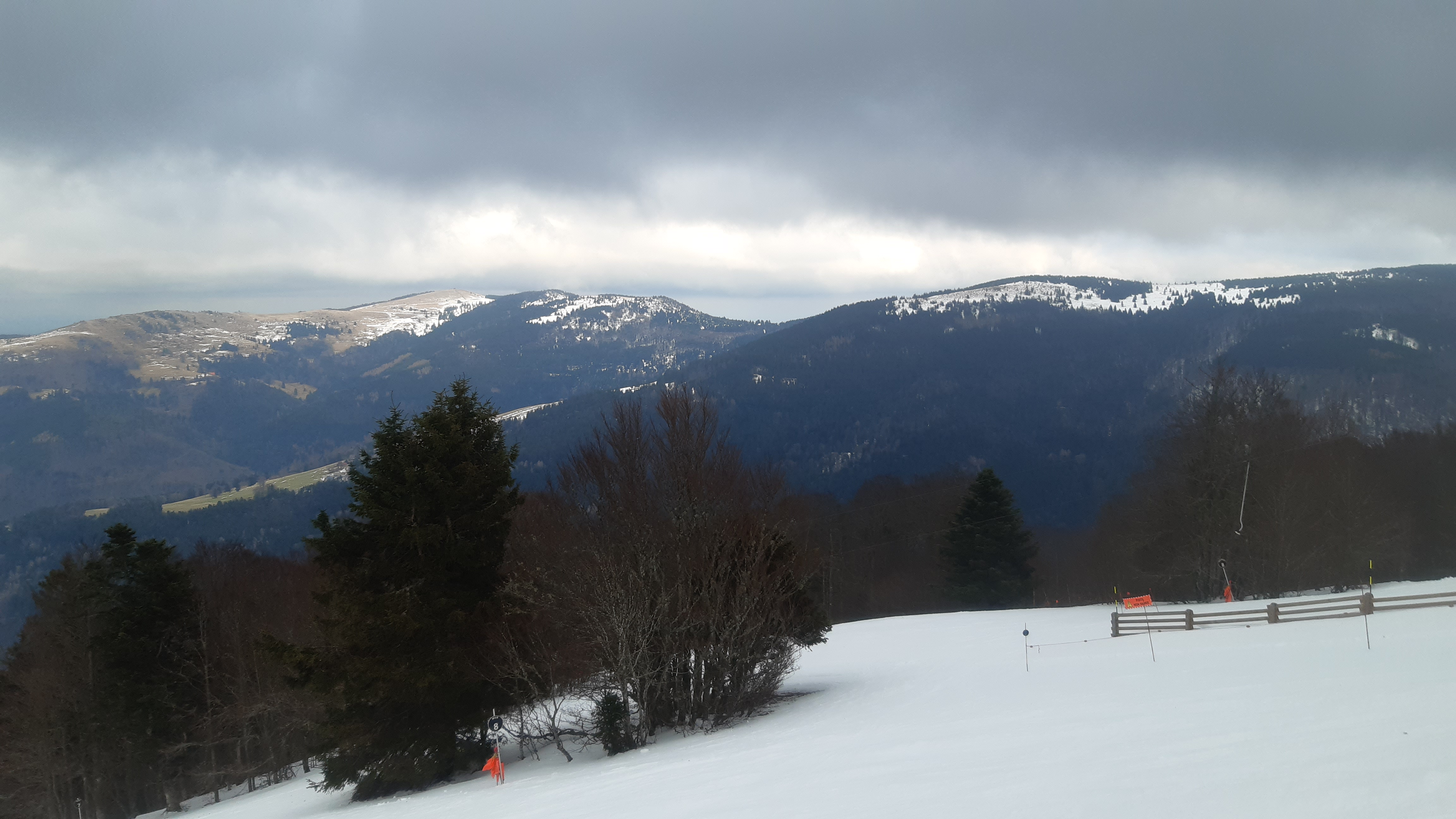 Photo n° 1 de l'avis de romain. fait le 13/02/2022 à 08:09